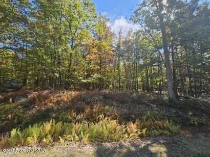 LV Lot 194 Arrowwood Drive, Hazle Twp, PA 18202