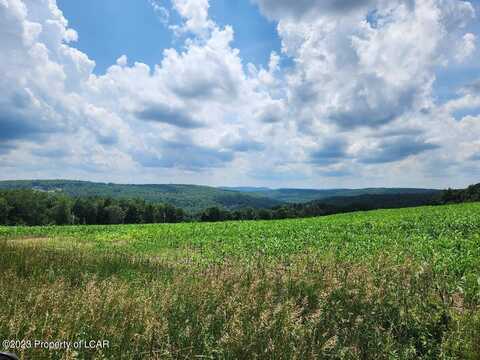 89.11 Acre Prichards Road, Hunlock Creek, PA 18621