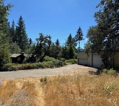 31699 Hwy 36, Bridgeville, CA 95526