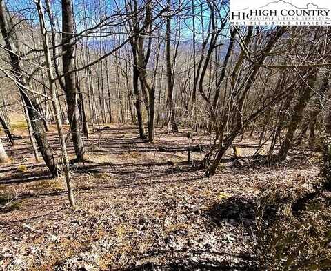 Lot 31 LarkSpur Trail, Banner Elk, NC 28604