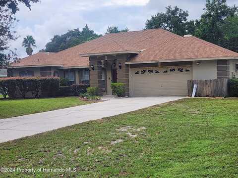 8000 Delaware Drive, Spring Hill, FL 34607