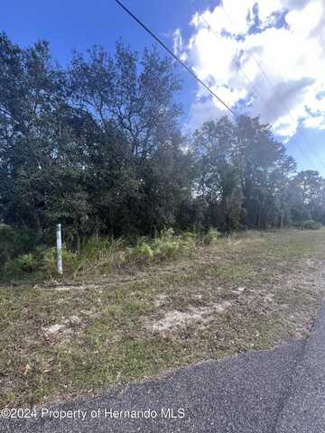 0 MotMot Road, Brooksville, FL 34614