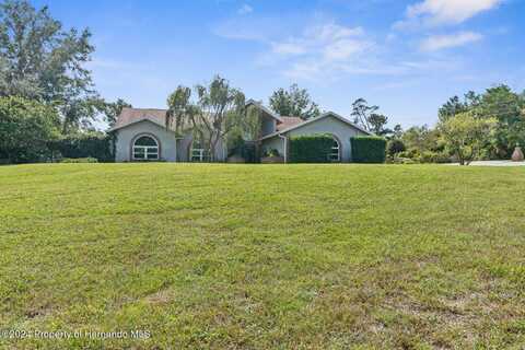 5348 Sandra Drive, Weeki Wachee, FL 34607