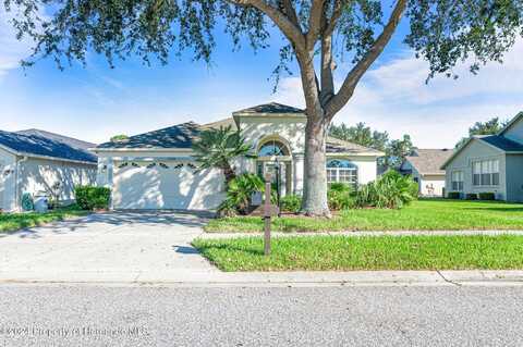 11053 Edge Park Drive, Hudson, FL 34667