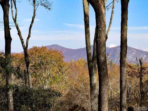 Tbd Silly Ridge Road, Scaly Mountain, NC 28775