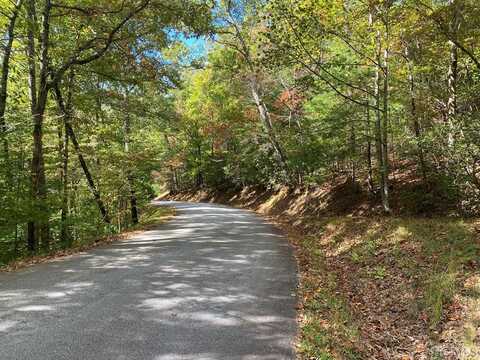 Tbd North Blaine Branch Road, Franklin, NC 28734