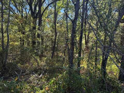 Lot 401 Cordoba, Payne Springs, TX 75156