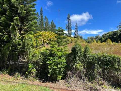 59-772 Kanalani Place, Haleiwa, HI 96712