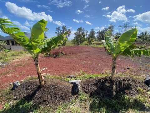 KAMOAMOA ST, PAHOA, HI 96778