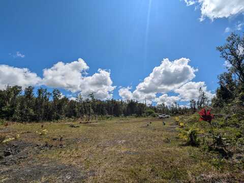 NENE ST, MOUNTAIN VIEW, HI 96771
