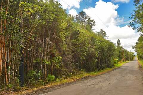 HIBISCUS ST, MOUNTAIN VIEW, HI 96771