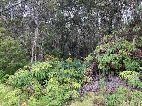 OLD VOLCANO RD, VOLCANO, HI 96785