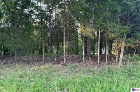 Lot #539 Strawberry Hill Drive, Brandenburg, KY 40108