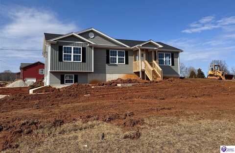 211 Reuben lane, Guston, KY 40142