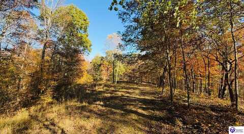 Jones School Road, Mount Sherman, KY 42764