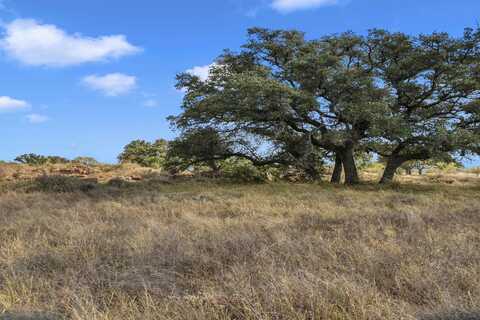 33.9 Acres W Ranch Road 152, Llano, TX 78643