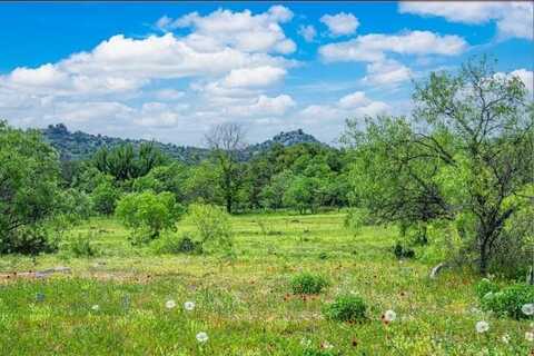 11995 N N Highway 16 Highway, Llano, TX 78643