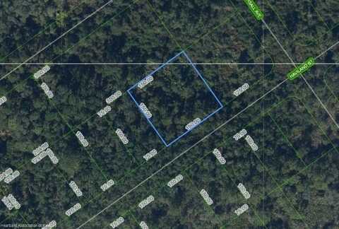 1210 Haviland Street, Lake Placid, FL 33852