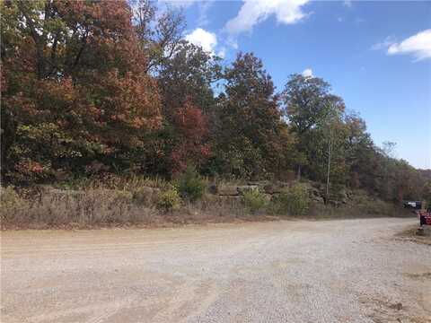 SE Rattlesnake Lane, Butler, MO 64730