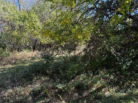 Lot 2349 Neptune Court, Gallatin, MO 64640