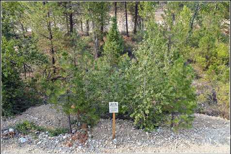 Lot 58 Mores Creek Dr, Idaho City, ID 83631