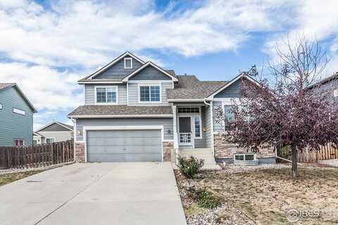 7303 Andover St, Wellington, CO 80549