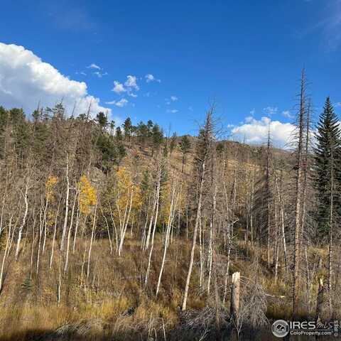 11 Monument Gulch Way, Bellvue, CO 80512