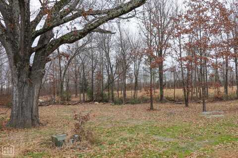 0 Lot 1 Diamond Valley Estates, Jonesboro, AR 72404