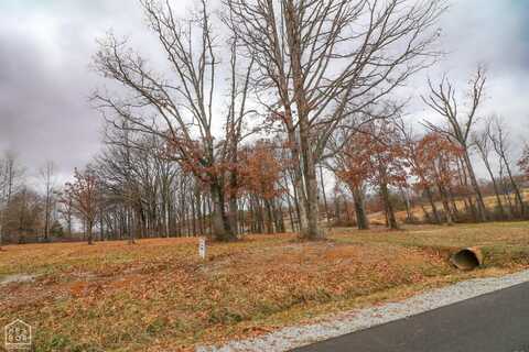 0 Lot 1 Diamond Valley Estates Phase 2, Jonesboro, AR 72404