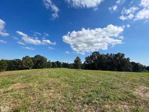 8 acres County Road 118, Bono, AR 72416