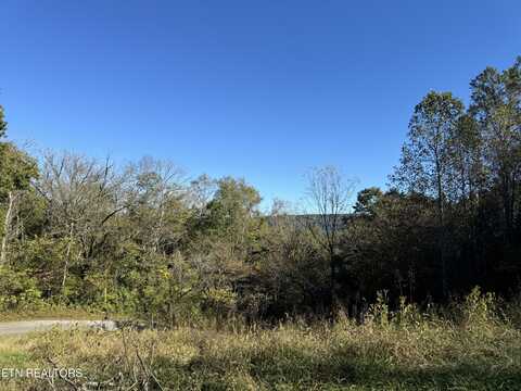 Bailey Hollow Rd, Tazewell, TN 37879