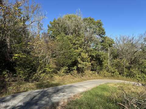 Bailey Hollow Rd, Tazewell, TN 37879