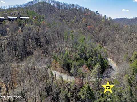Lot 75 Smoky Ridge Way, Sevierville, TN 37862