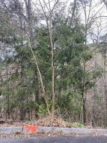 Lot 75 Smoky Ridge Way, Sevierville, TN 37862