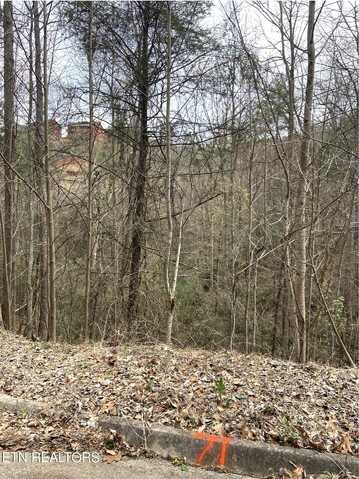 Lot 71 Smoky Ridge Way, Sevierville, TN 37862