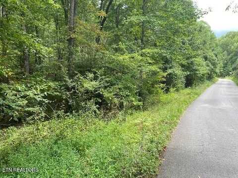 S Ottoma Drive, Crossville, TN 38555