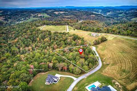 Cinnabar Drive, New Tazewell, TN 37825