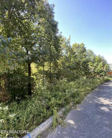 Lot 60 Smoky Ridge Way, Sevierville, TN 37862