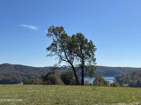 Lot 41 Deer Tr, La Follette, TN 37766