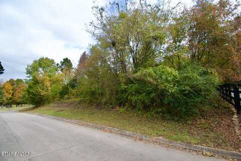 Lot 8 Colonial Drive, Louisville, TN 37777