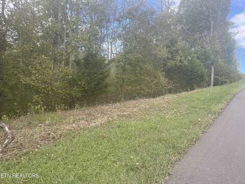 Lot 14 Spotted Fawn Lane, Dandridge, TN 37725