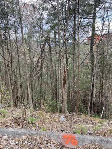 Lot 76 Smoky Ridge Way, Sevierville, TN 37862