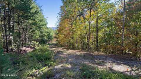 Padgett Mill Rd, Cosby, TN 37722