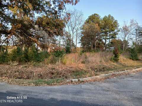 411 County Road 784, Etowah, TN 37331