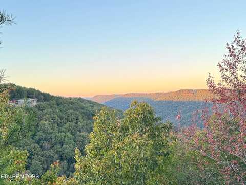 0 Panther Falls Rd, Wilder, TN 38589