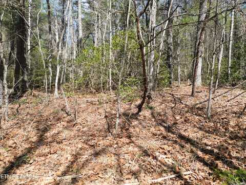 158 Stratford Drive, Crossville, TN 38558