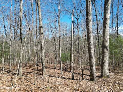 222 Sheffield Drive, Crossville, TN 38558