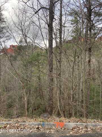 Lot 74 Smoky Ridge Way, Sevierville, TN 37862