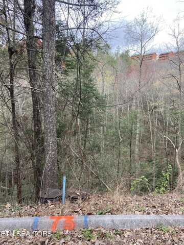 Lot 73 Smoky Ridge Way, Sevierville, TN 37862