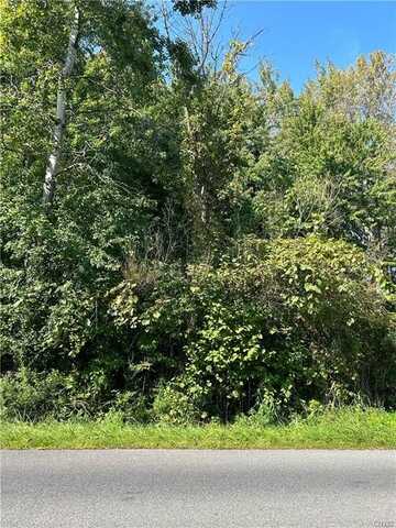 Lot 2 Beach Rd, Bewerton, NY 13029